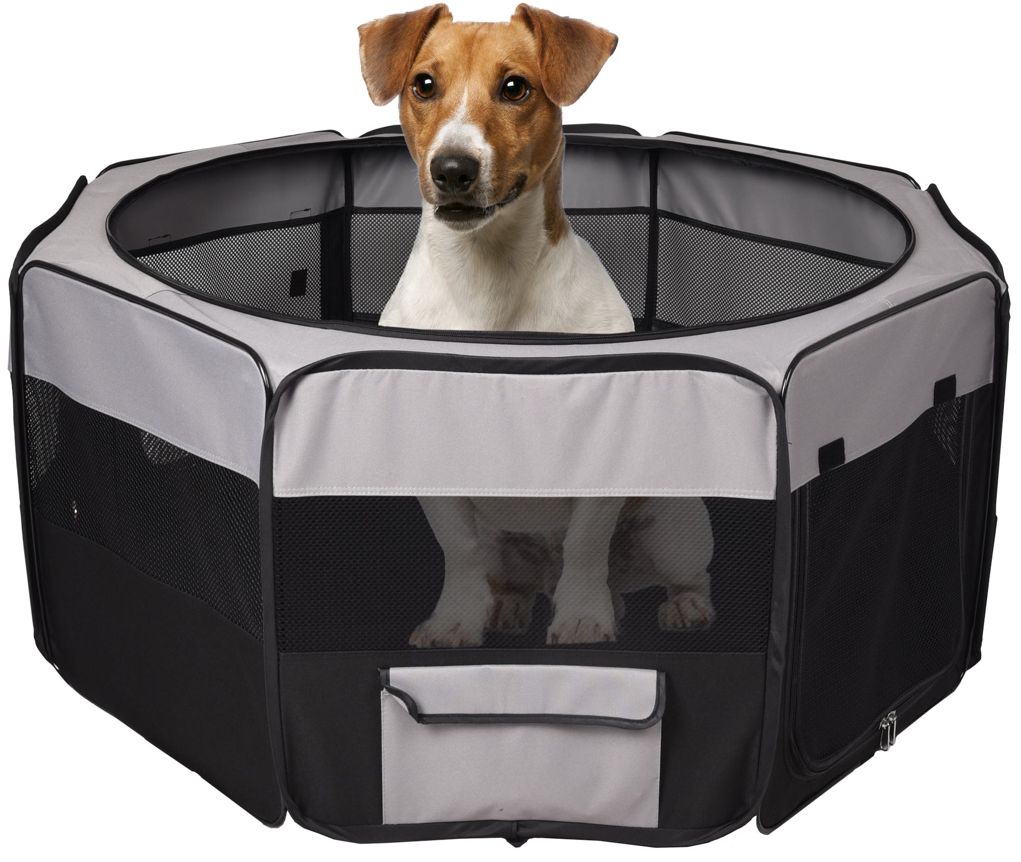 Flamingo Parque Flavio Negro