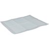 Training pad Pady White