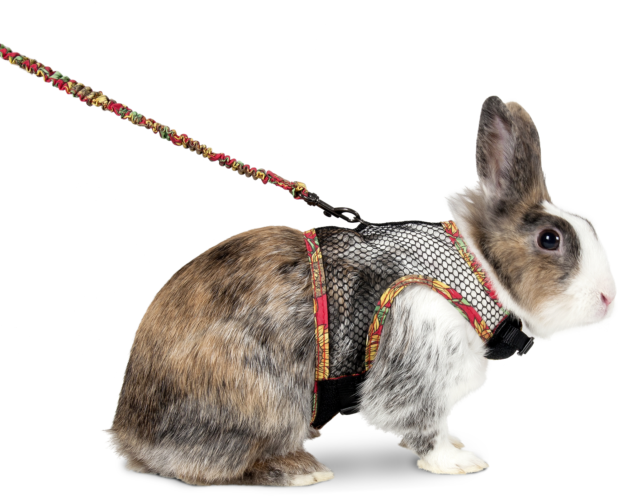 Flamingo Harness with leash Art Joy Mix