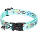 Collar Ziggi Turquoise