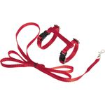Harness with leash Kitten Ziggi Red