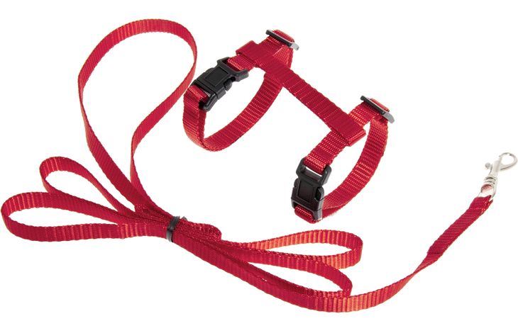Flamingo Harness with leash Kitten Ziggi Red