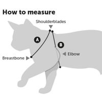 Flamingo Harness with leash Kitten Ziggi Red