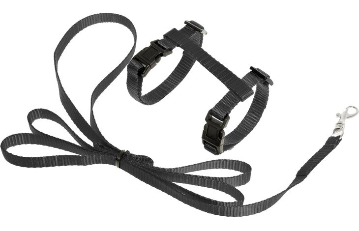 Flamingo Harnais avec laisse Chaton Ziggi Noir