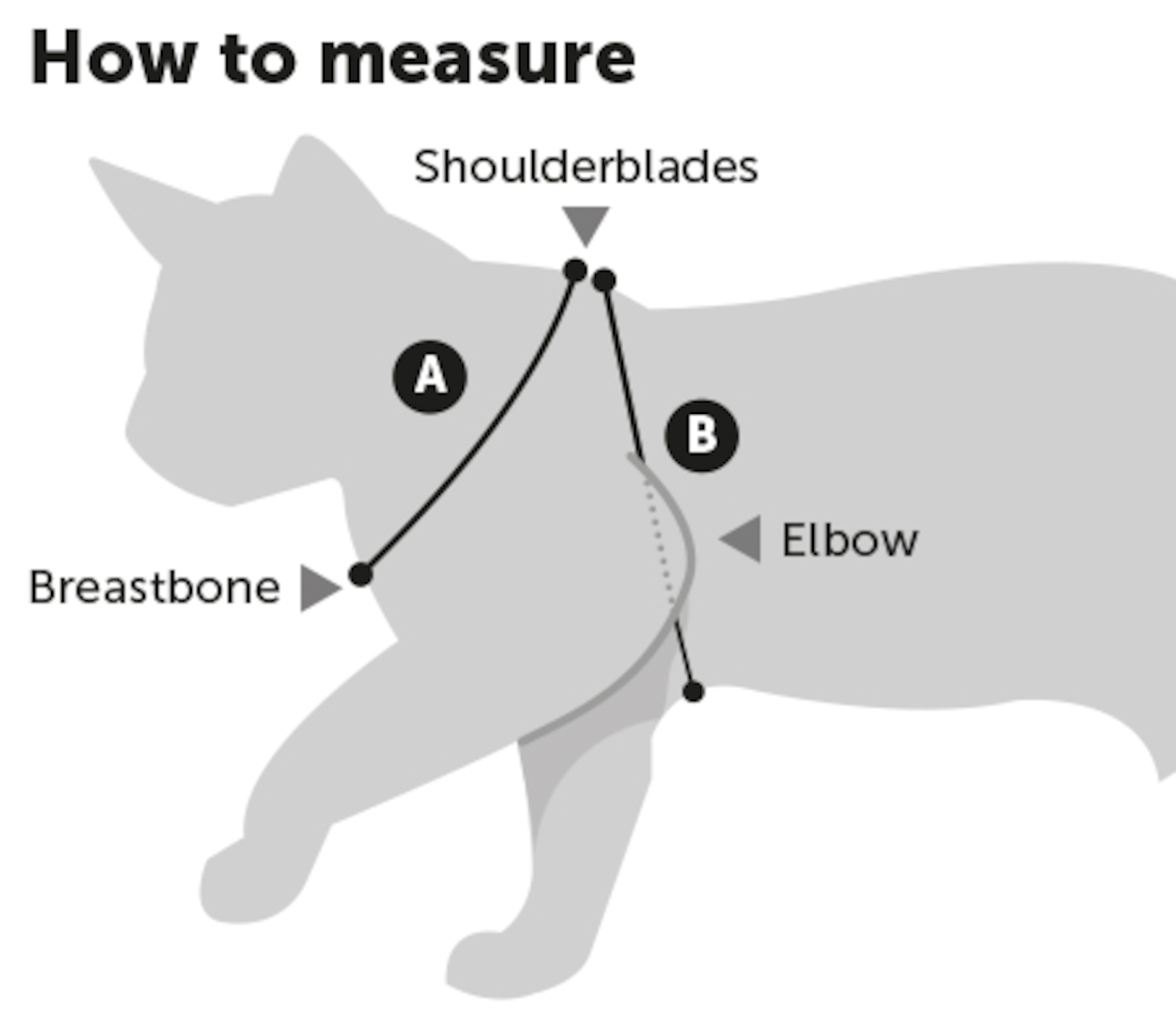 Flamingo Harnais avec laisse Chaton Ziggi Noir