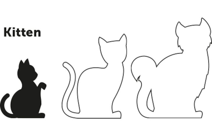 Flamingo Harnais avec laisse Chaton Ziggi Noir