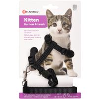 Flamingo Harnais avec laisse Chaton Ziggi Noir