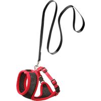 Flamingo Harness with leash Harms Black & Red