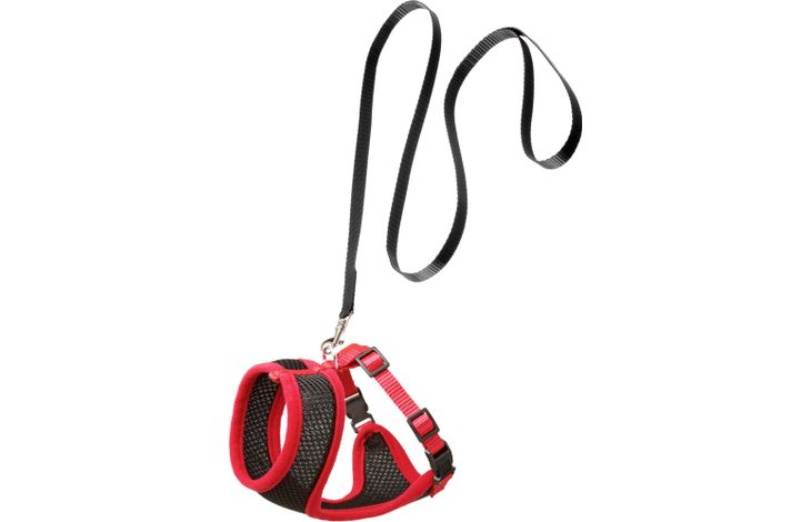 Flamingo Harness with leash Harms Black & Red