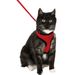  Harness with leash  Harms Red & Black