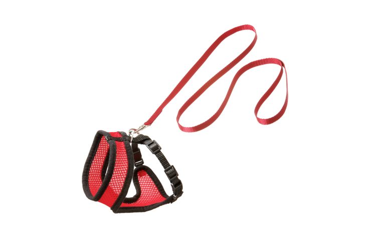 Flamingo Harness with leash Harms Red & Black