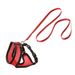 Harness with leash Harms Red & Black
