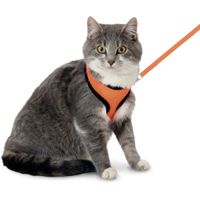Flamingo Harness with leash Harms Orange & Black