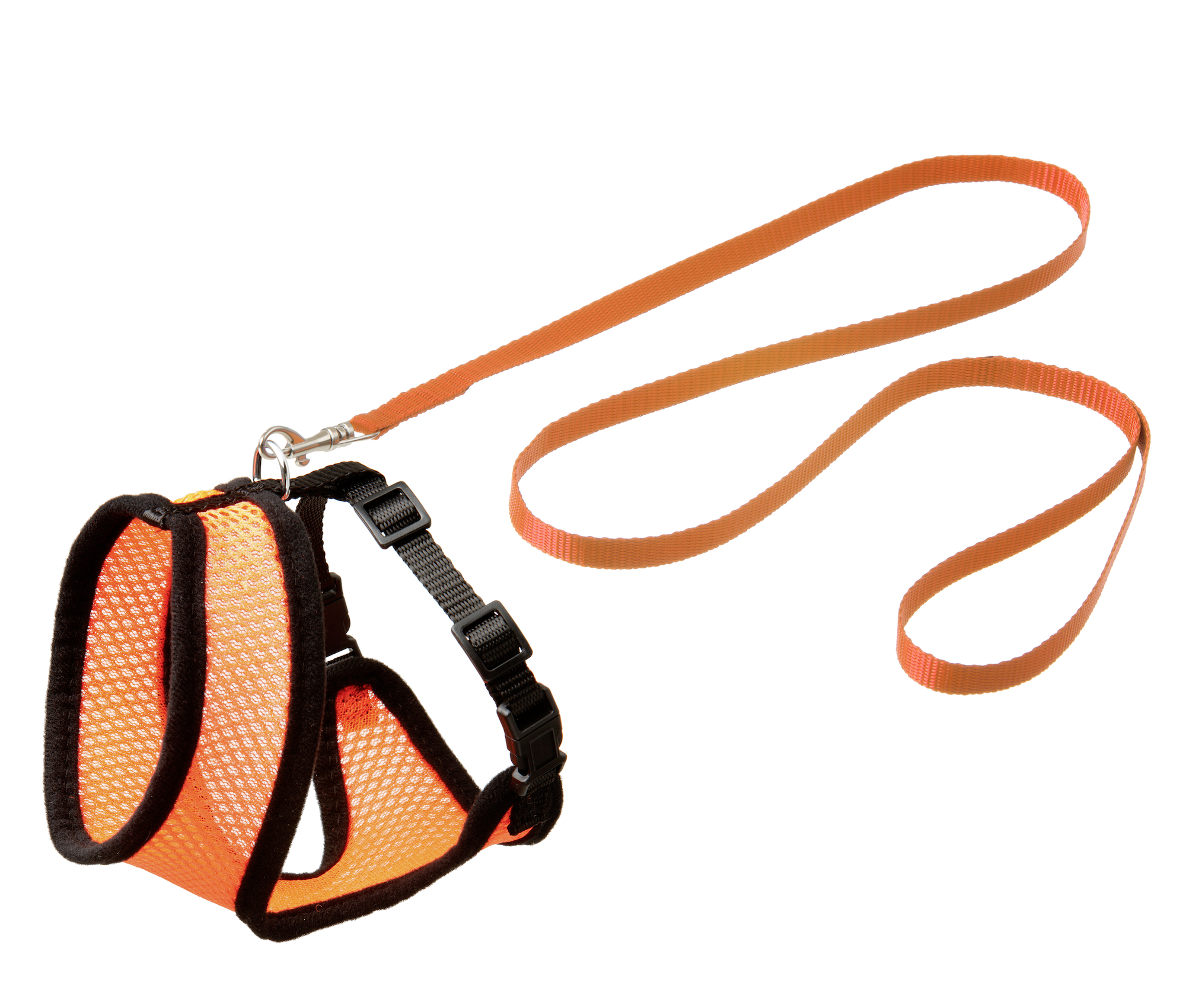 Flamingo Harness with leash Harms Orange & Black