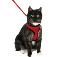 Flamingo Harness with leash Harms Red & Black