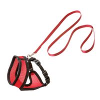Flamingo Harness with leash Harms Red & Black
