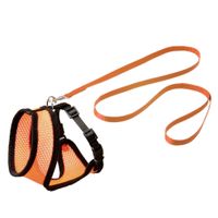 Flamingo Harness with leash Kitten Harms Orange & Black