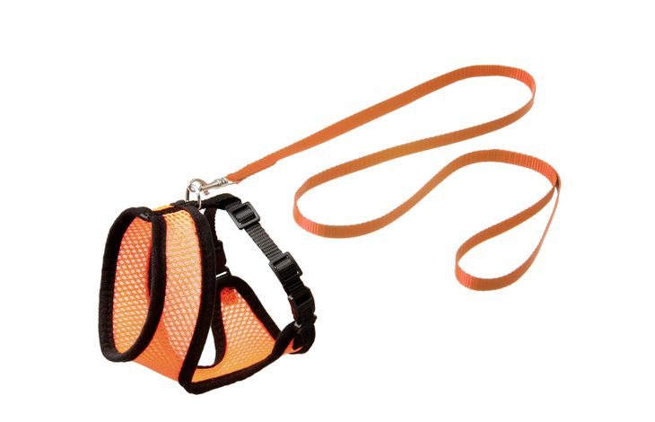 Flamingo Harness with leash Kitten Harms Orange & Black