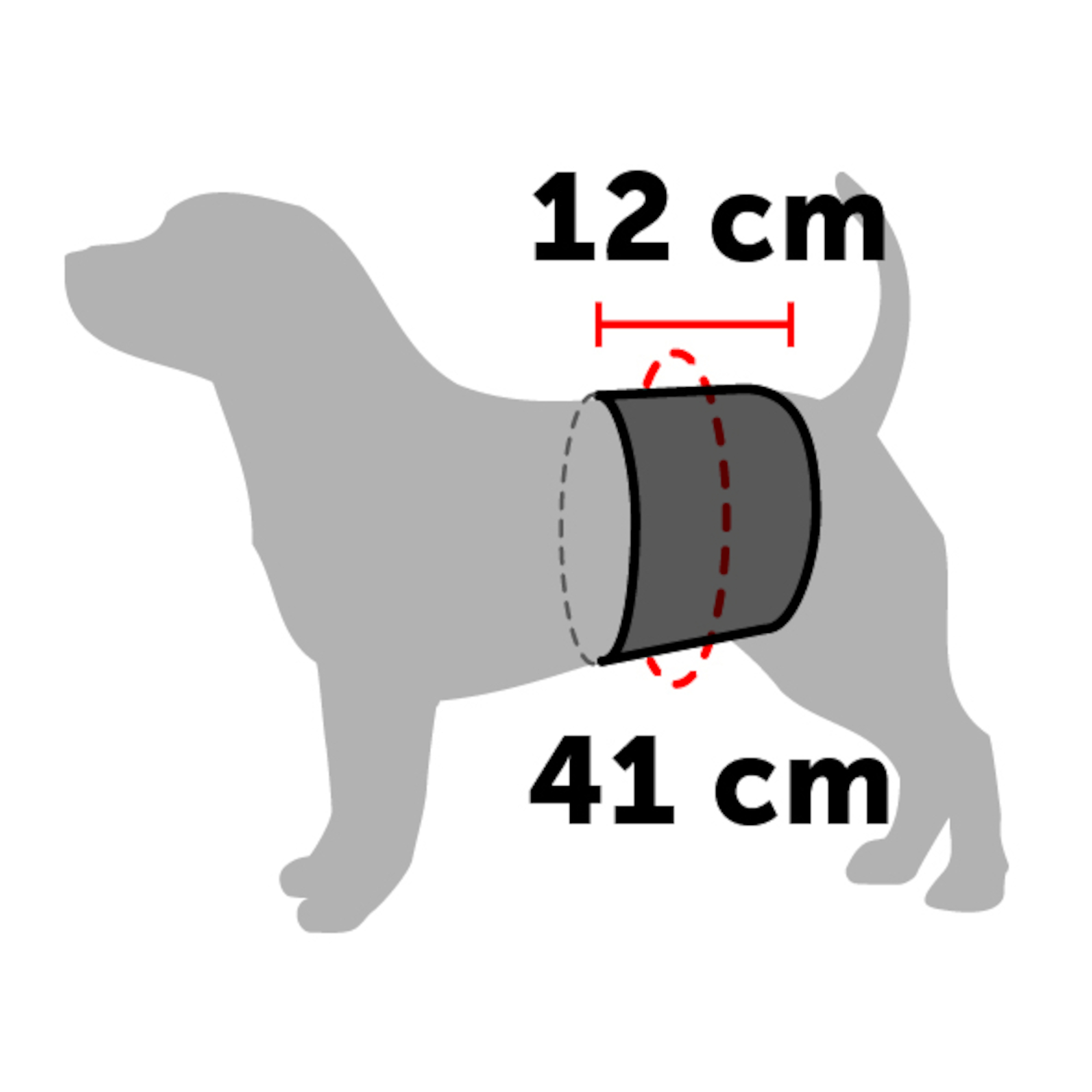 Flamingo Pants Male King Black