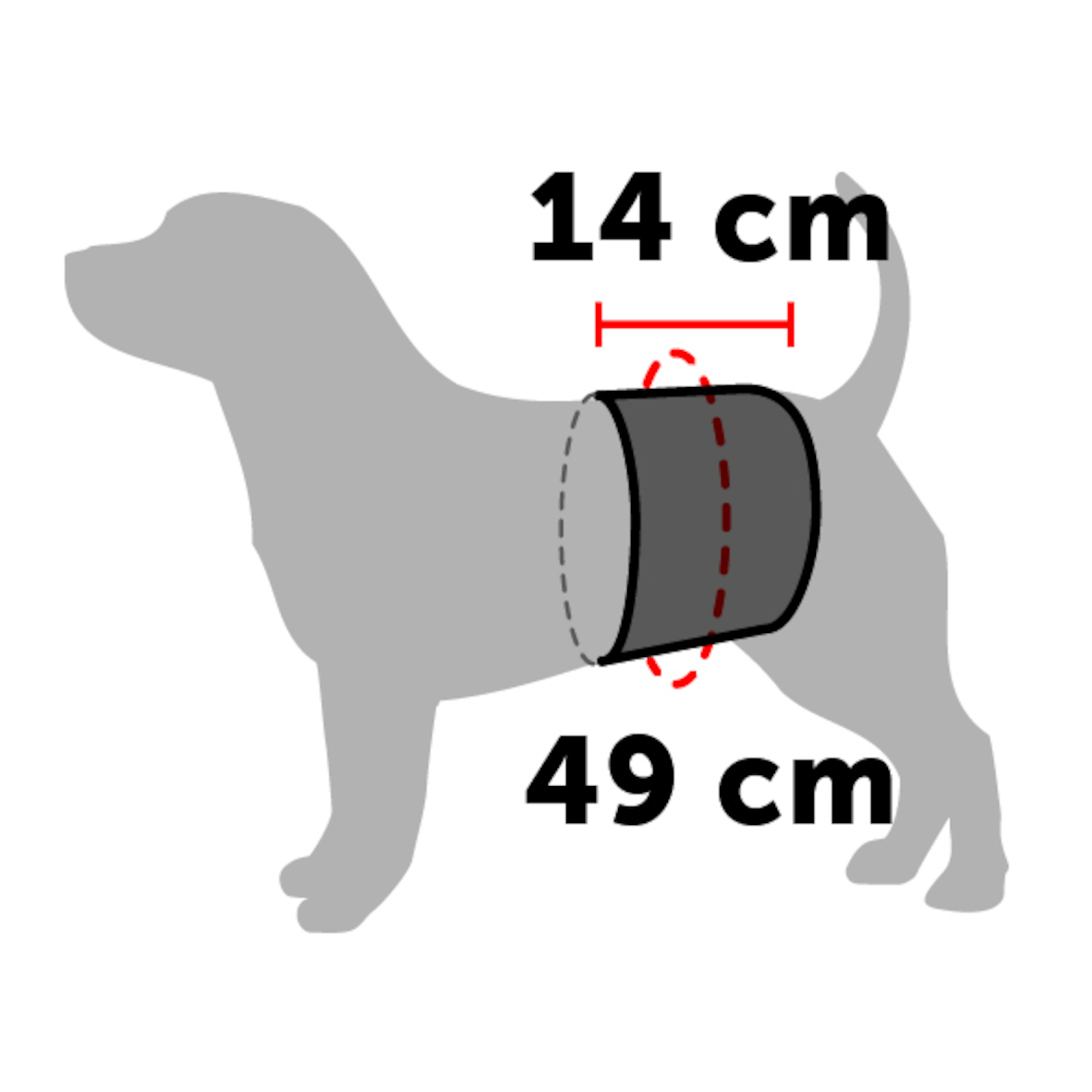 Flamingo Pants Male King Black