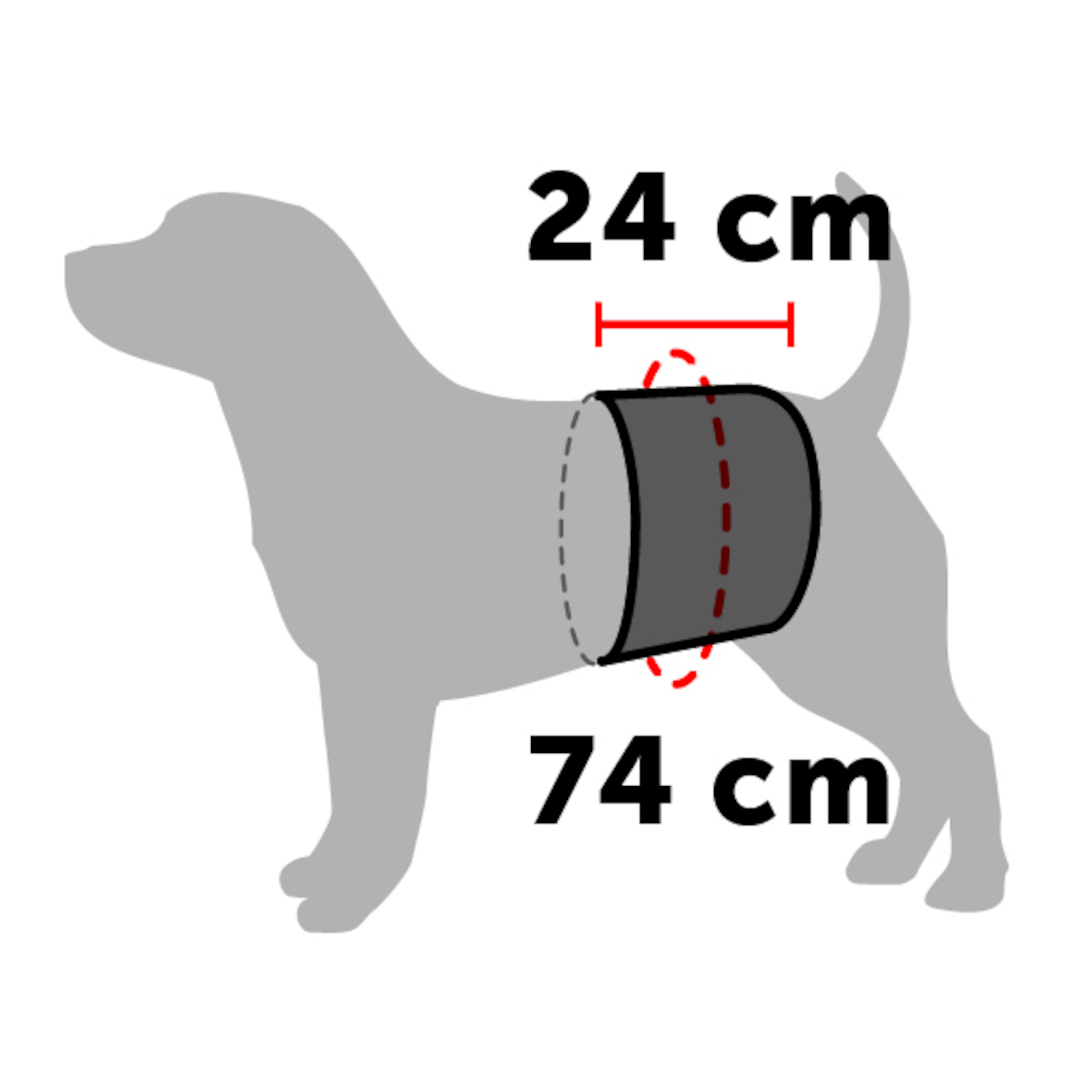 Flamingo Pants Male King Black