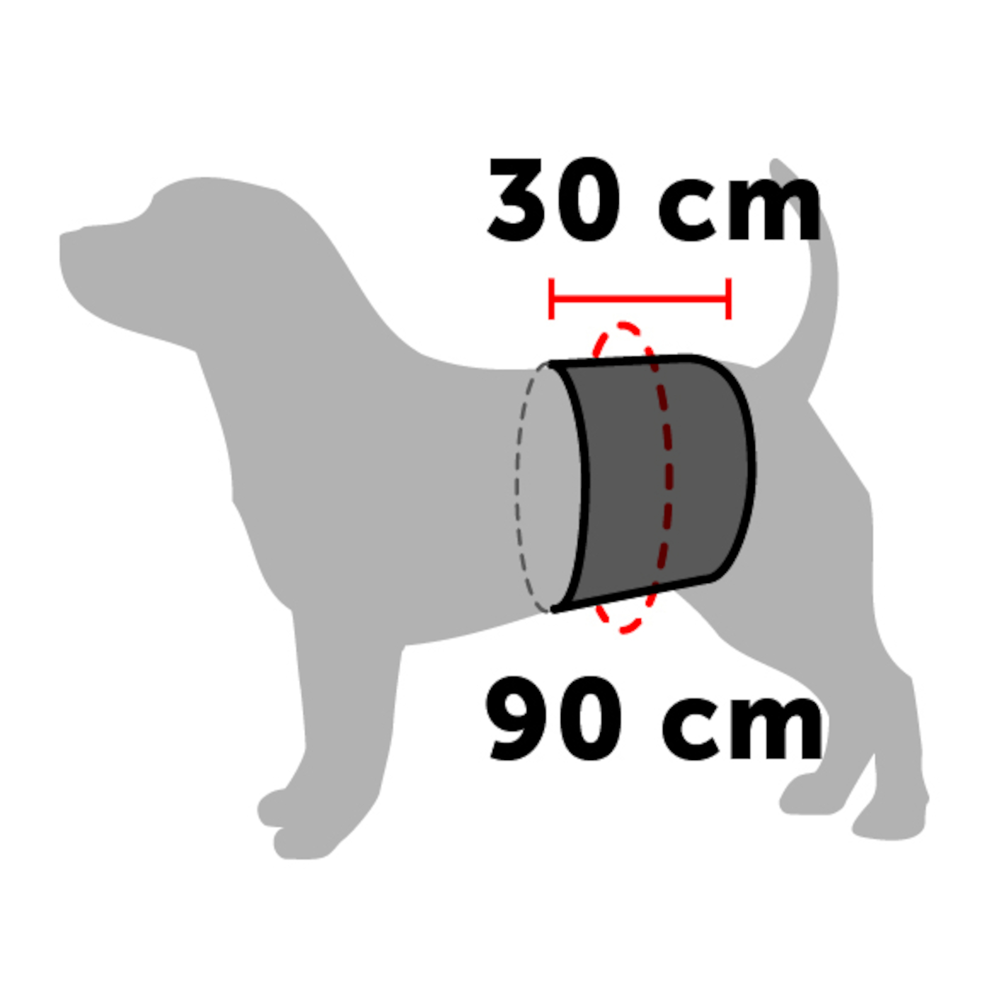 Flamingo Pants Male King Black