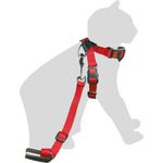 Arnés & Cinturón de seguridad para el coche Rojo