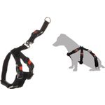 Car safety harness Duma Black