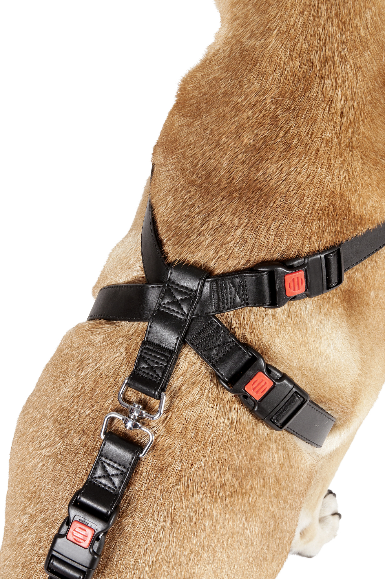 Flamingo Autoveiligheidsharnas Duma Zwart