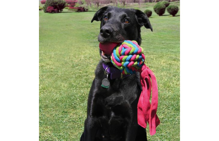 Kong® Kong® Speelgoed Wubba Weaves Knoopbal Meerdere kleuren