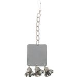 Parrot toy Mirror  Silver