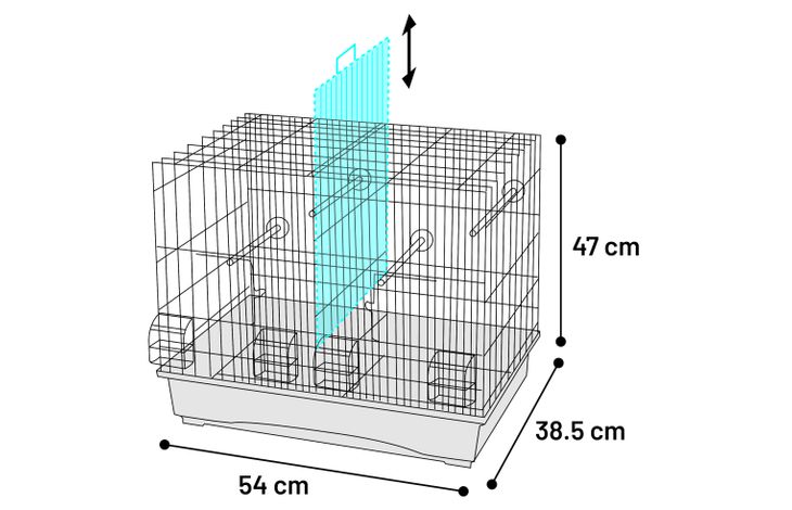 Flamingo Cage Timor Blue White