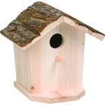 Nesting box Cortesa Punto Birds living outdoors - Wood