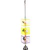 Bird toy Cage hanger Several versions  / 