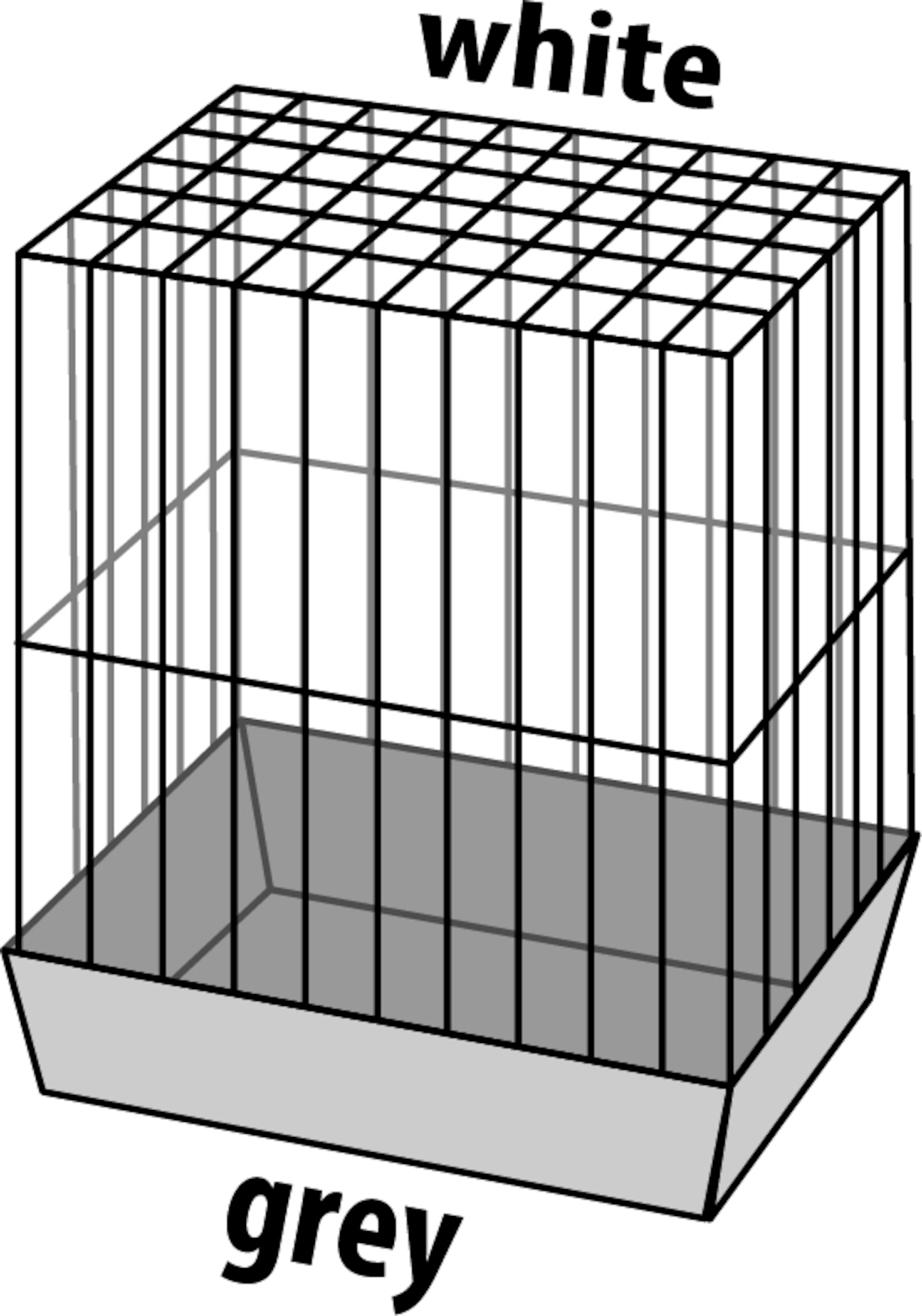 Flamingo Parakeet cage Klara 1 White Grey