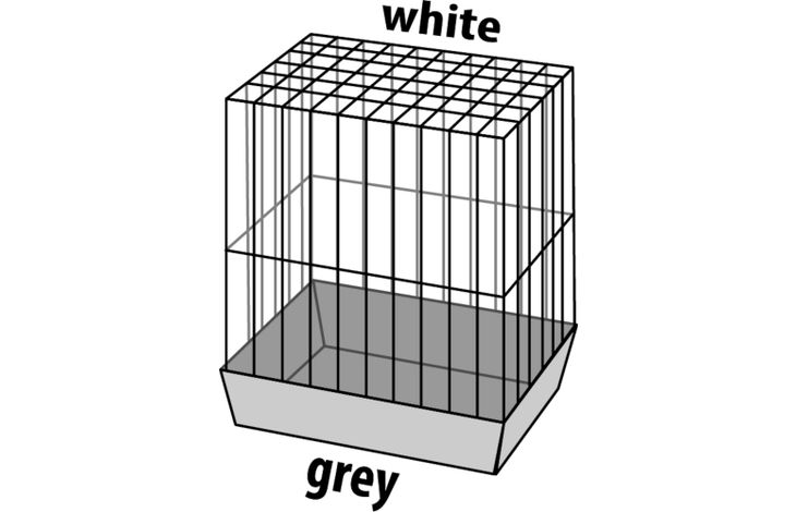 Flamingo Parakeet cage Klara 1 White Grey