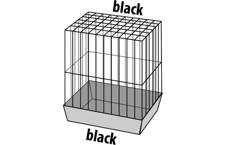 Flamingo Parakeet cage Klara 2 Black