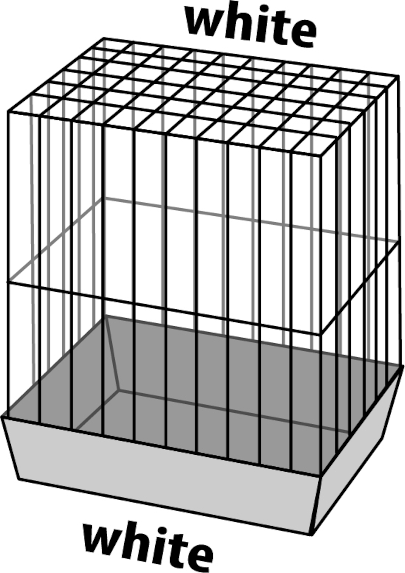 Flamingo Parakeet cage Numfor 1 White