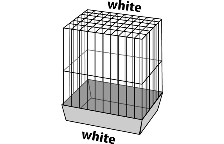 Flamingo Parakeet cage Numfor 1 White