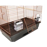 Flamingo Parakeet cage Numfor 1 Copper Black
