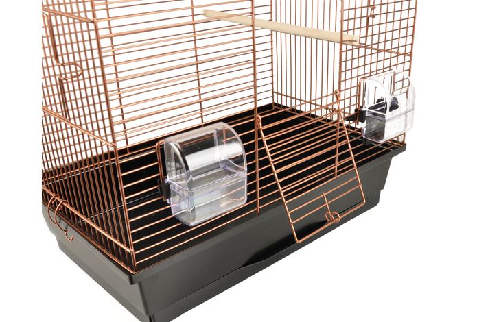 Flamingo Parakeet cage Numfor 1 Copper Black