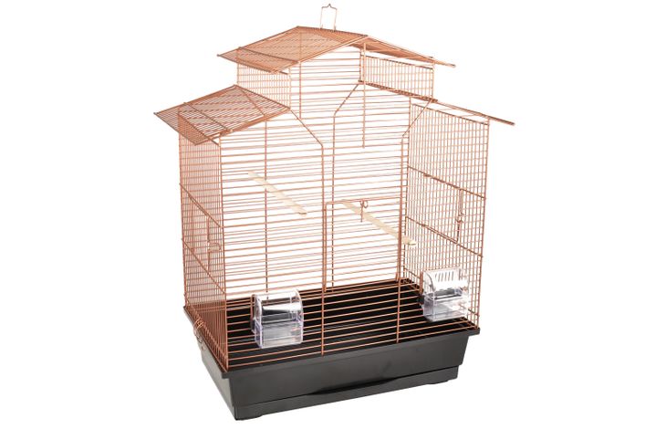 Flamingo Parakeet cage Numfor 1 Copper Black