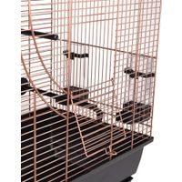 Flamingo Parakeet cage Kelby Copper Black