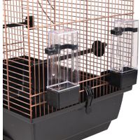 Flamingo Parakeet cage Kelby Copper Black