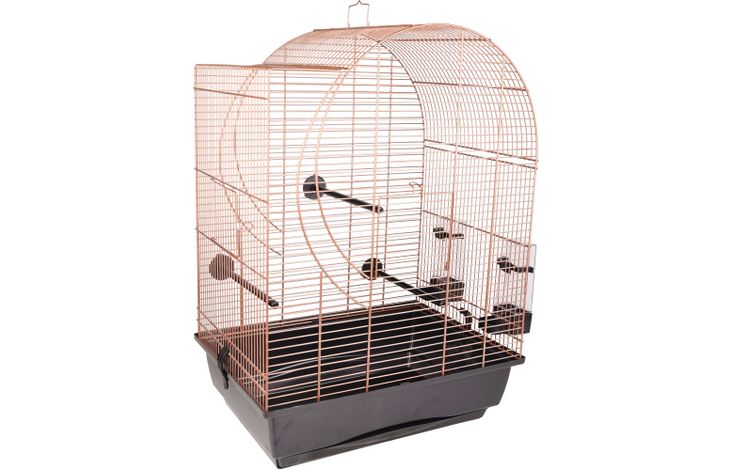 Flamingo Parakeet cage Kelby Copper Black