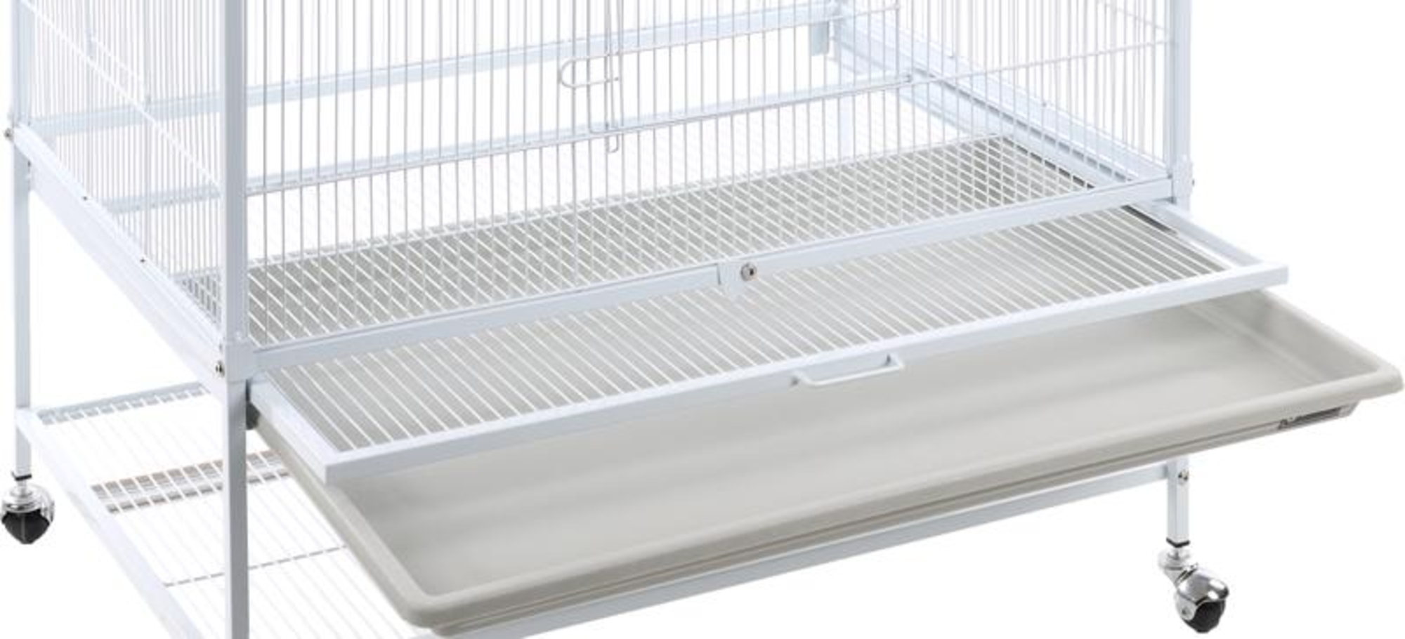 Flamingo Aviary Sumba White