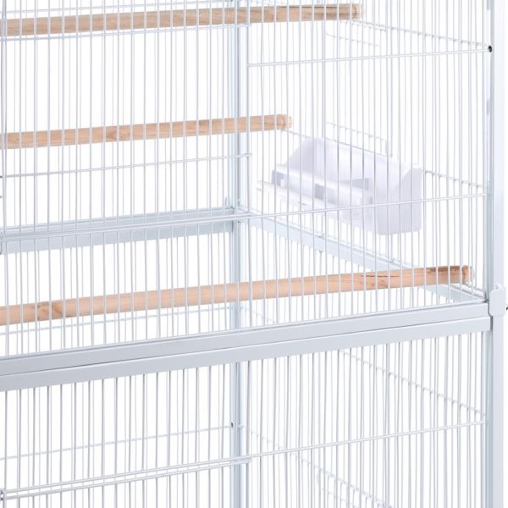 Flamingo Aviary Sumba White