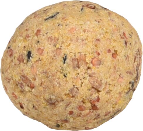 DIY : Une Boule De Graisse Maison Pour Nourrir Les Oiseaux L'hiver