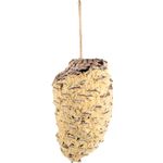 Snacks Pine cone suet treat