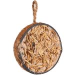 COCONUT FEEDER HALF WITH MEALWORMS 200G